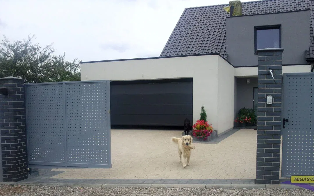 Pies w ogrodzie – jak zabezpieczyć posesję?